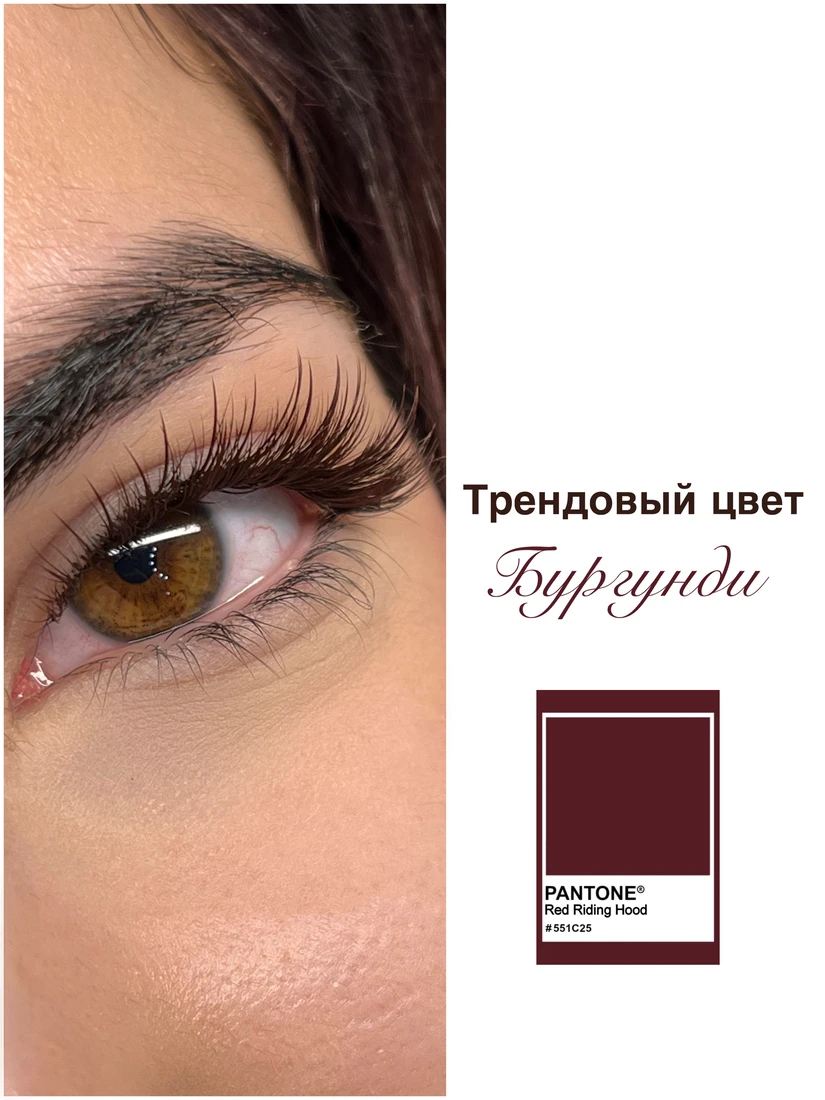 Работа: тушь, цвет бургунди — кадр 2